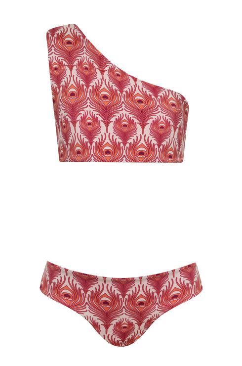 Mini Currulao / Red Peacock