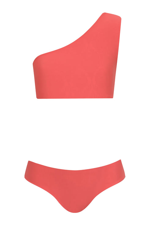 Mini Currulao / Red Peacock