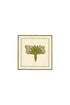 Lirios Cocktail Napkins / Ivory & Green - Set of 4