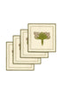 Lirios Cocktail Napkins / Ivory & Green - Set of 4