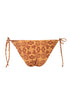 Brazil Bottom / Mustard Arabesque - Brown