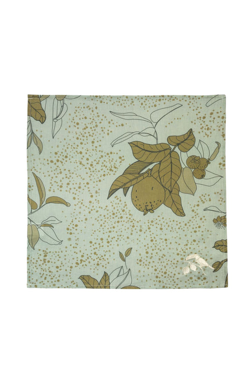 Guava Mint Linen Napkins / Set of 4