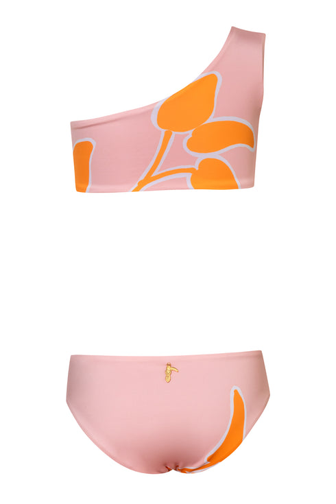 Mini Currulao / Rose Guava