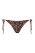 Brazil Bottom / Jaguar