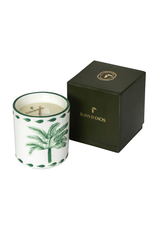 JDD Ceramic Candle / Green Palm